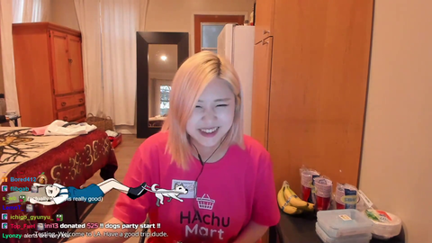 RTX Voice deletes Hachu's voice when thanking donos