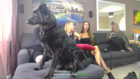Gross Gore Family Friendly Stream Goes SEXUAL