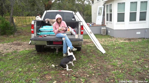 dog fucking dies