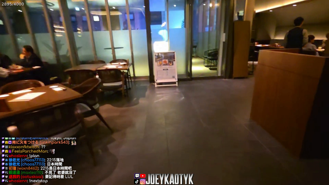 Joeykaotyk hits an invisible door