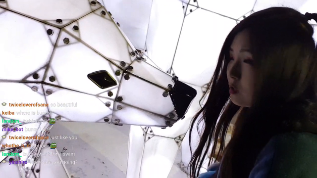 Korean streamer meets korean bear
