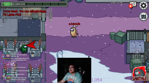 Streamer exposes cheater on among us