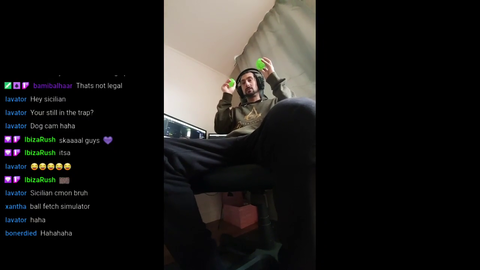 Dog cam category on twitch would be wholesome content.