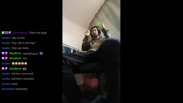 Dog cam category on twitch would be wholesome content.