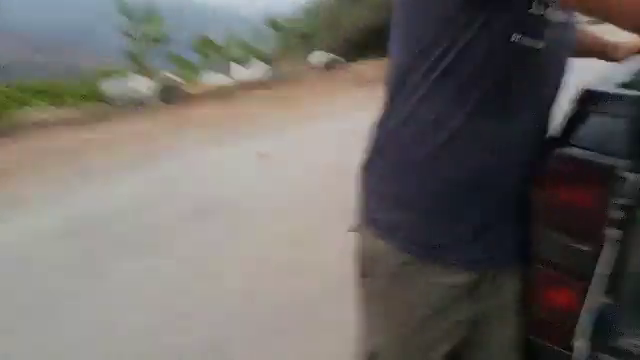 greek and andy adopted an abused goat