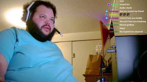 cat destroyed stream