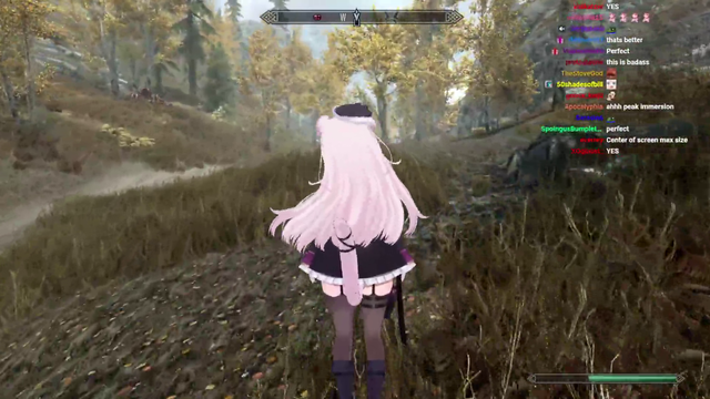 POV you're a pink cat in Skyrim