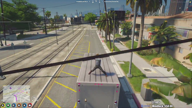 Mr. Cow permas in NoPixel