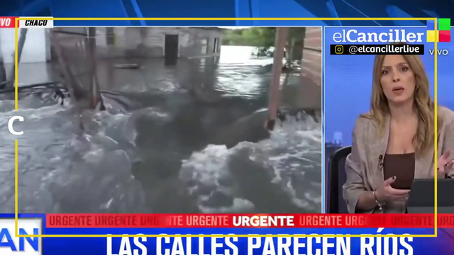 Argentinian reporter stops live broadcast to save a dog being swept away by flood waters