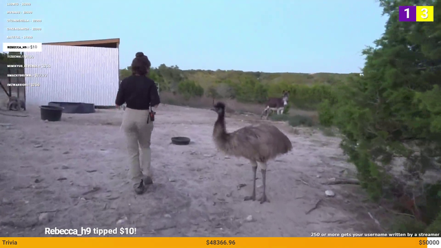 Stompy realises 90k viewers are watching and pulls some big moves for the crowd