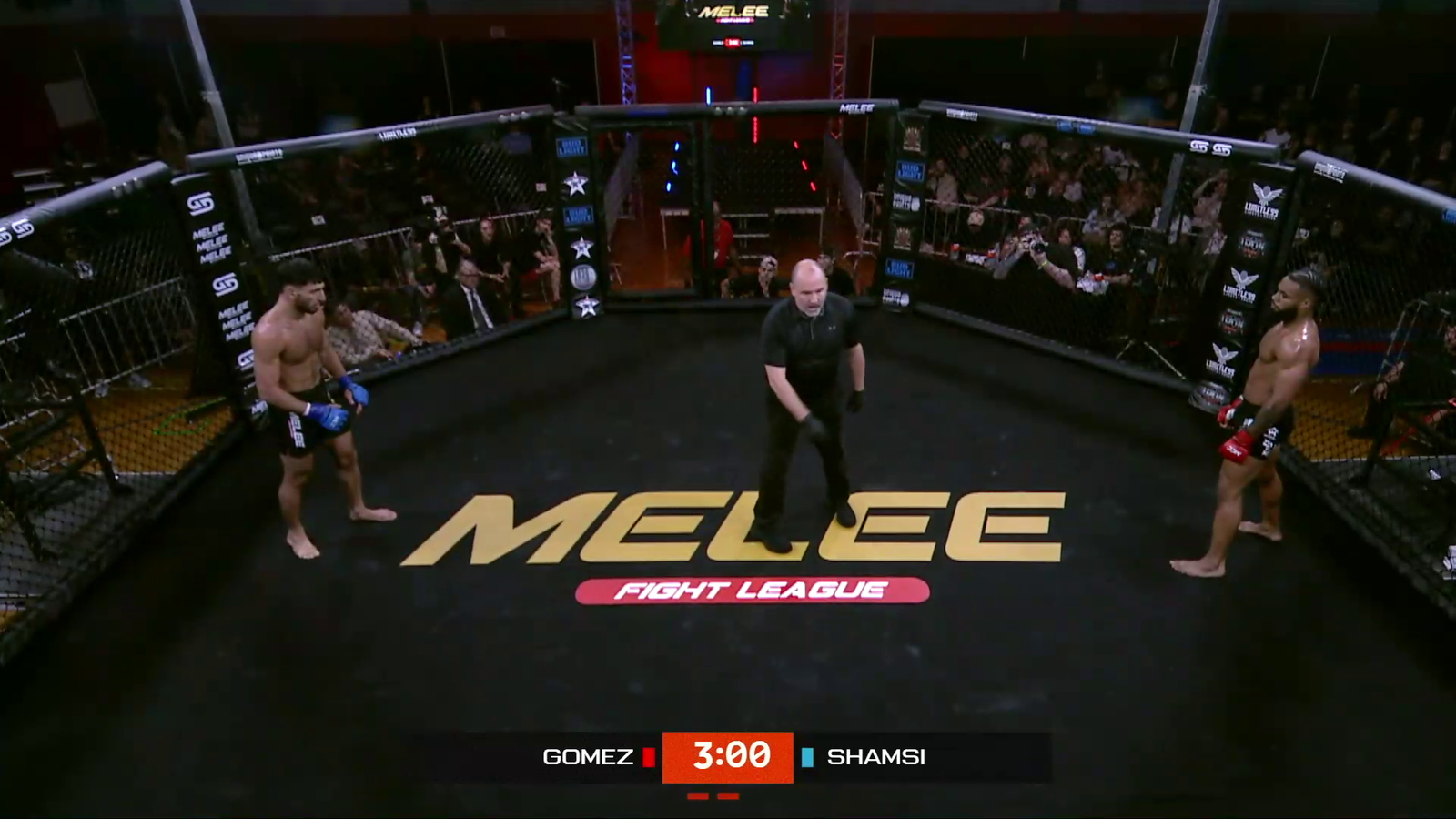 Spinning back fist finisher at MCC