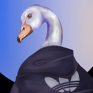 kz0t
