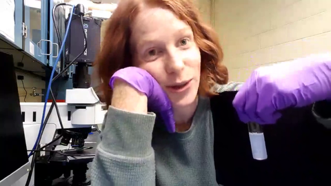 A scientist's first impression of the Just Chatting section