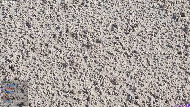 Hardworking crabs