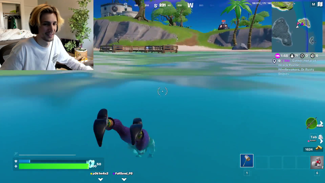 Dolphins in Fortnite