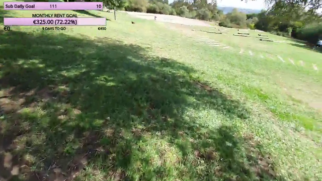 Portuguese IRL Streamer gets "Attacked" by Dog live on stream and Owner blames fault on her