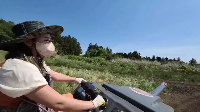 Yuggie goes to war