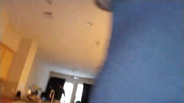 Logic of a rat (Mitch Jones)