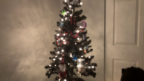 [wholesome] chatter goes live for the first time to show off christmas tree with custom ornaments representing every friend she's made on twitch 😭