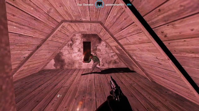 Lirik has an npc random encounter in Dayz