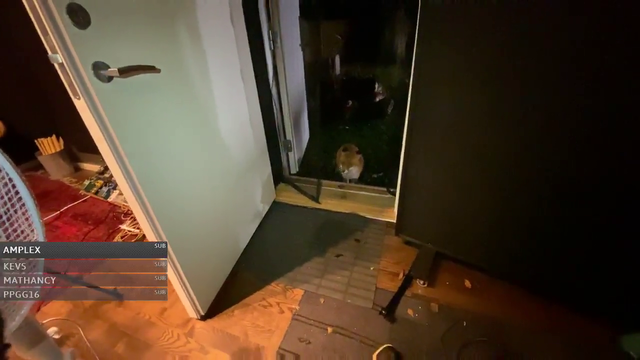 the fox finally steals something