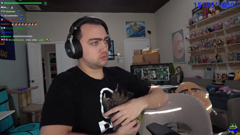 Mizkifs new kitten turns into a ball
