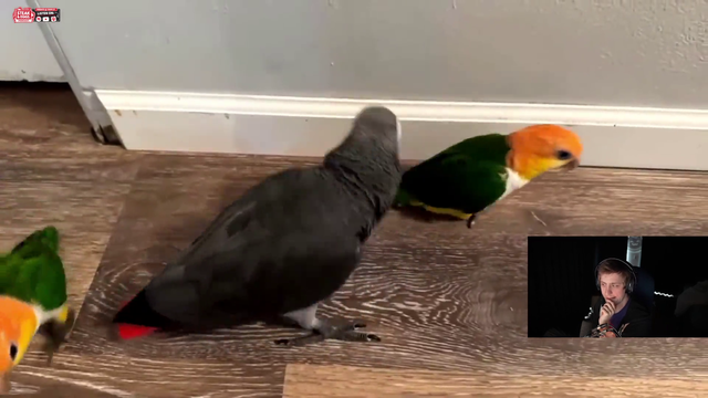 summit and soda have beef