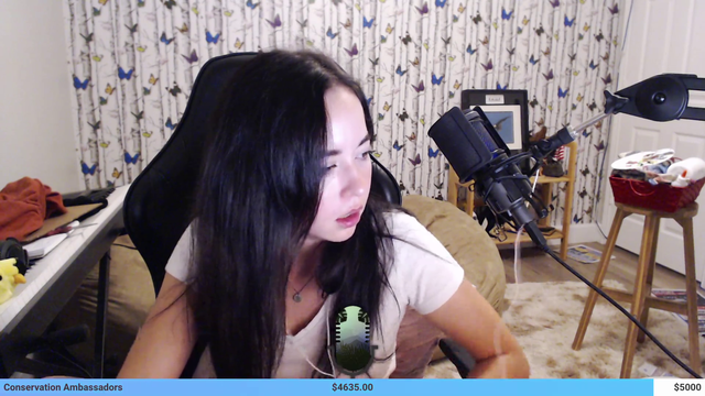 Maya's thoughts on Twitch's surprising impact on conservation