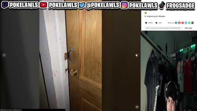 Zoil cameo in Poke's stream