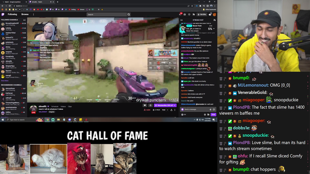 SlimeIRL completely roasts a small streamer