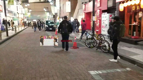 ONLY IN JAPAN