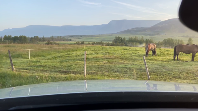 Icelandic streamer dCapio shows us paradise