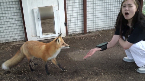 fanfan gets pawed