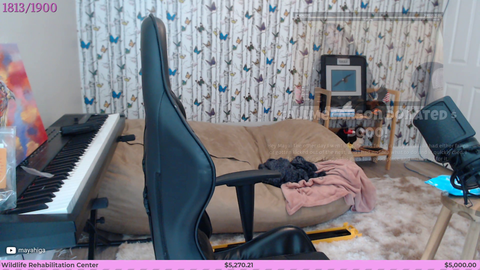 CallMeCarson donates 5000$ on maya's charity stream