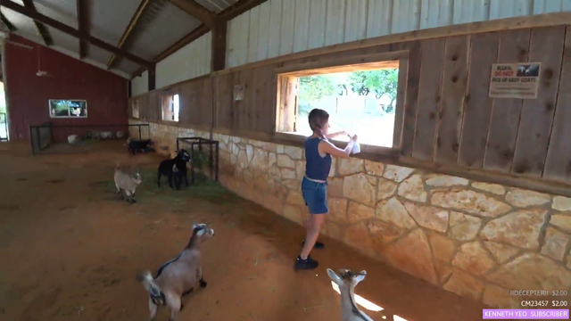 Feeding time