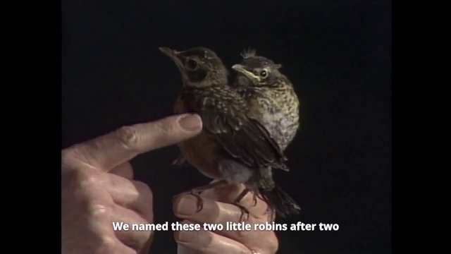 Bob Ross introduces Cathy and Richard