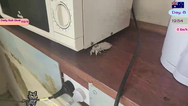 Just a normal day in Australia chilling by the microwave