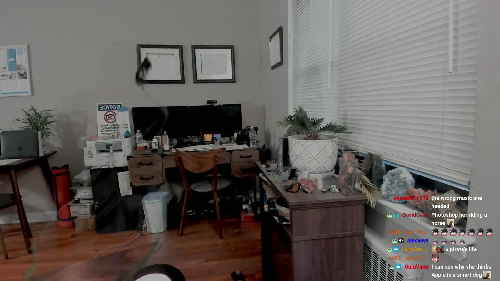 streamer discovers green screens