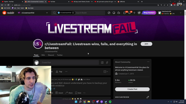 XQC opinion on Train allegations