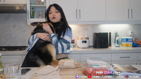 Giant Dog Steals CodeMiko's Microphone