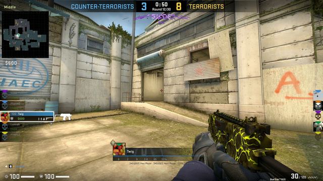 LIRIK spectates a CS:GO pro named Twig!
