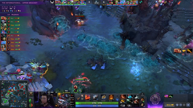 Dota 2 caster loses it while casting The International