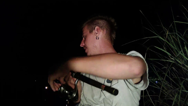 KKona getting attacked in the wild