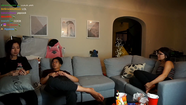 Summary of PeterParkTV's stream