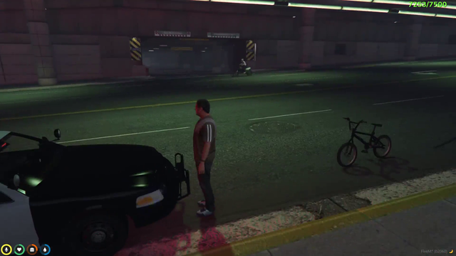Poke evades the police