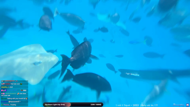 Jinny encounters a shark