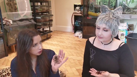 Why Anita is safe around animals and creatures.