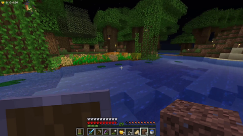 Heyimbee saves Flipper before he joins the rank among the minecraft gods