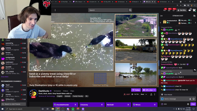 xQc Feeding ducks.