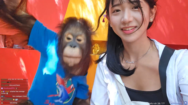 Chimp gets handsy with Jinny